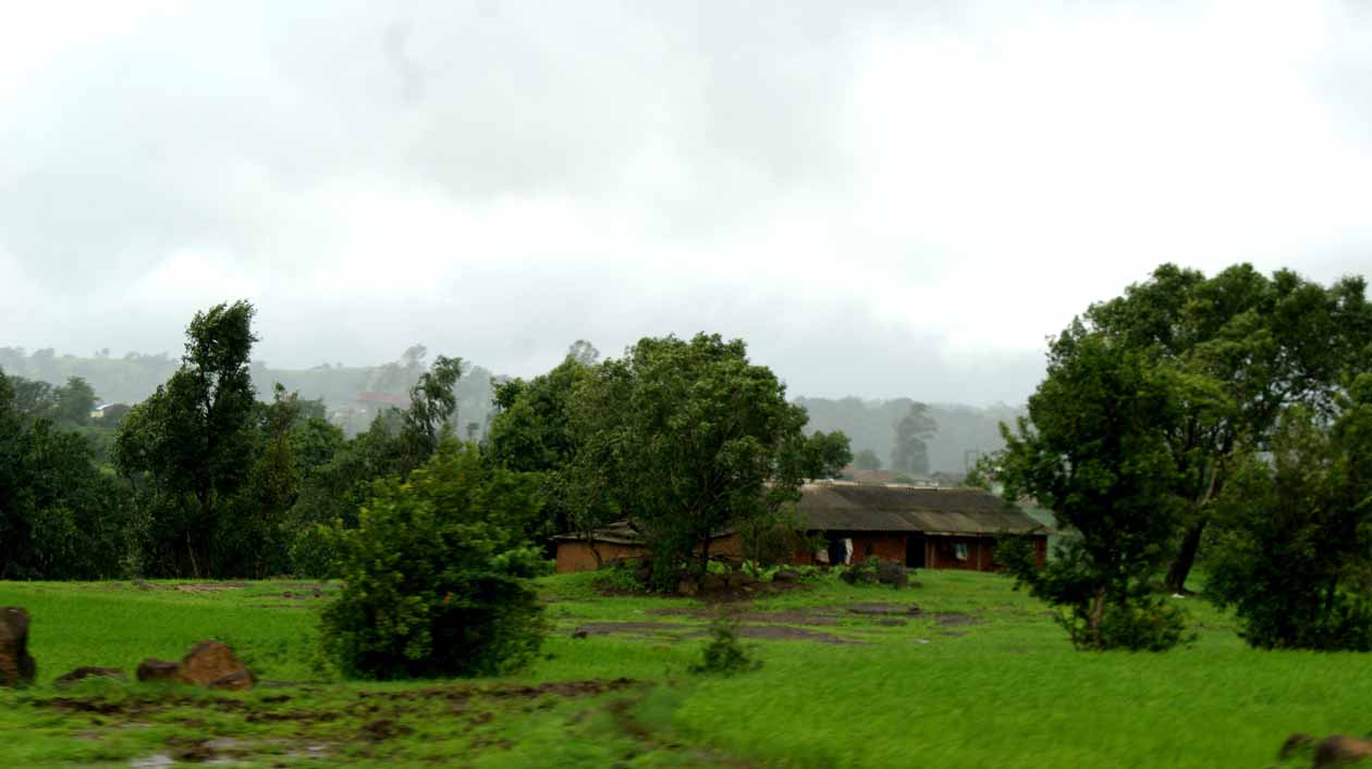 Bhandardara Camping photo 1