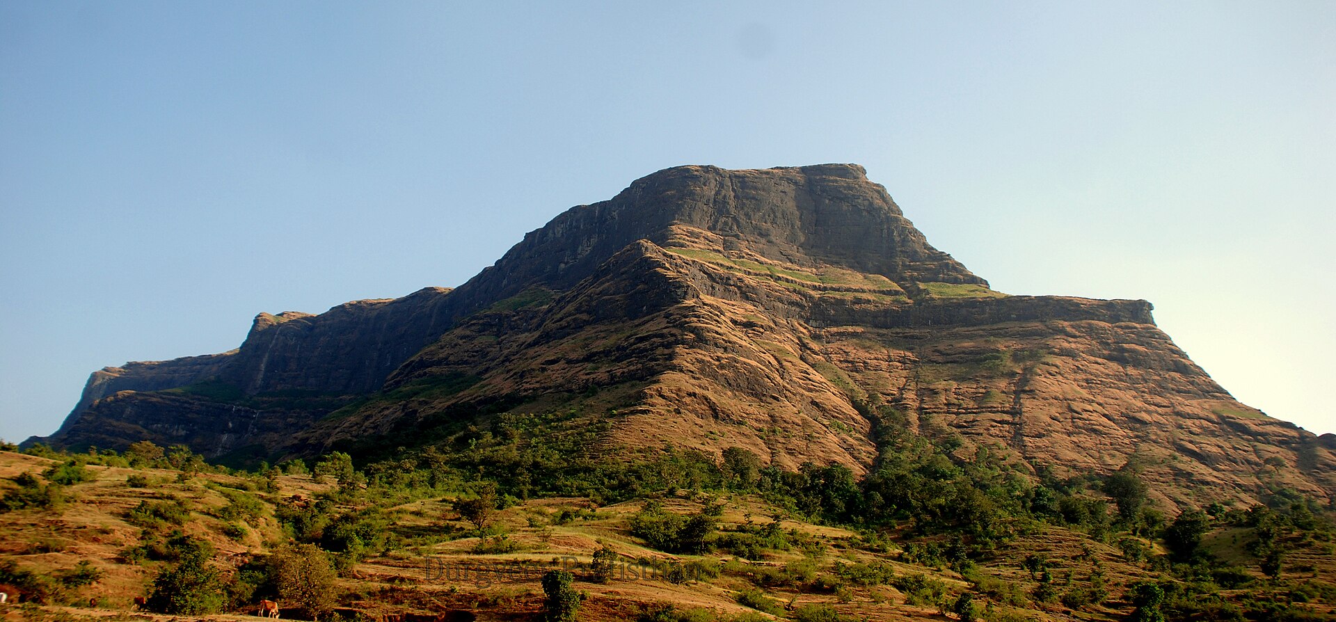 Salher photo 7