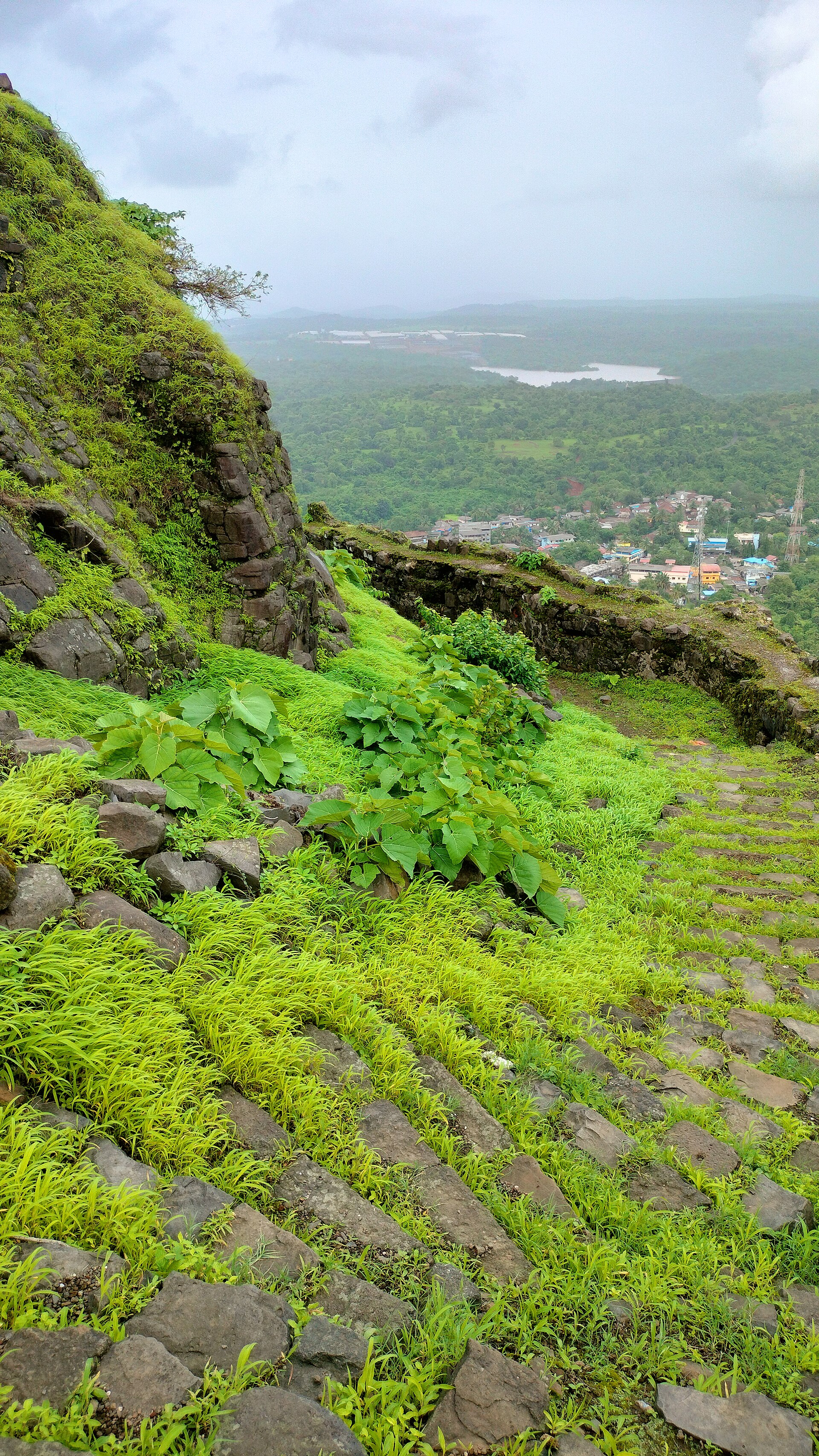 Talagad photo 3