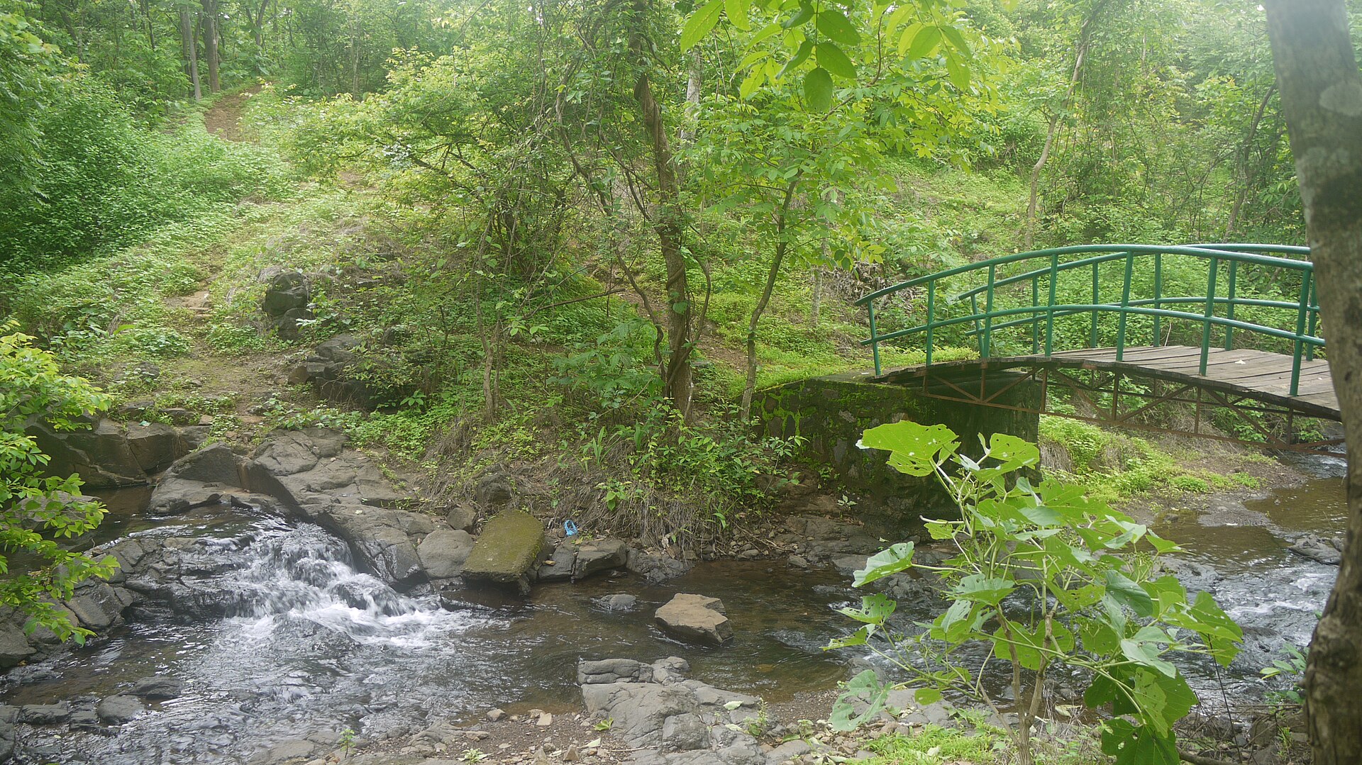 Karnala Bird Sanctuary photo 3