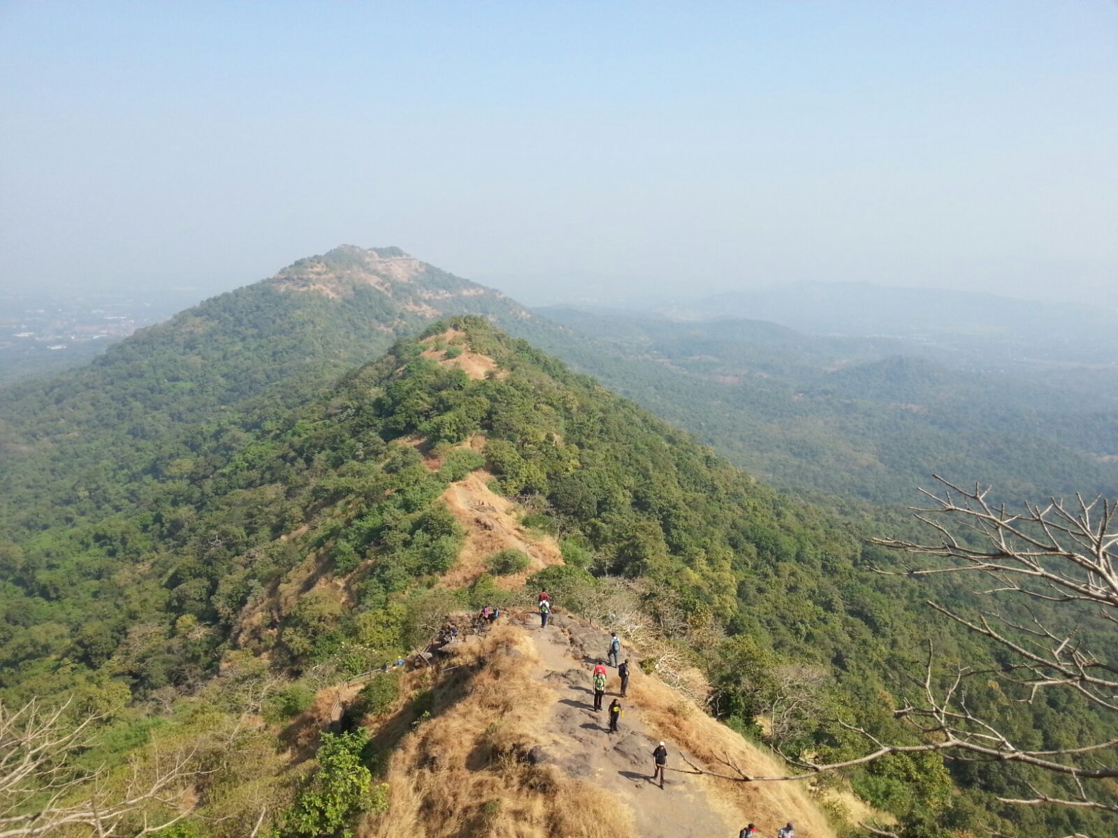 Karnala Bird Sanctuary photo 1