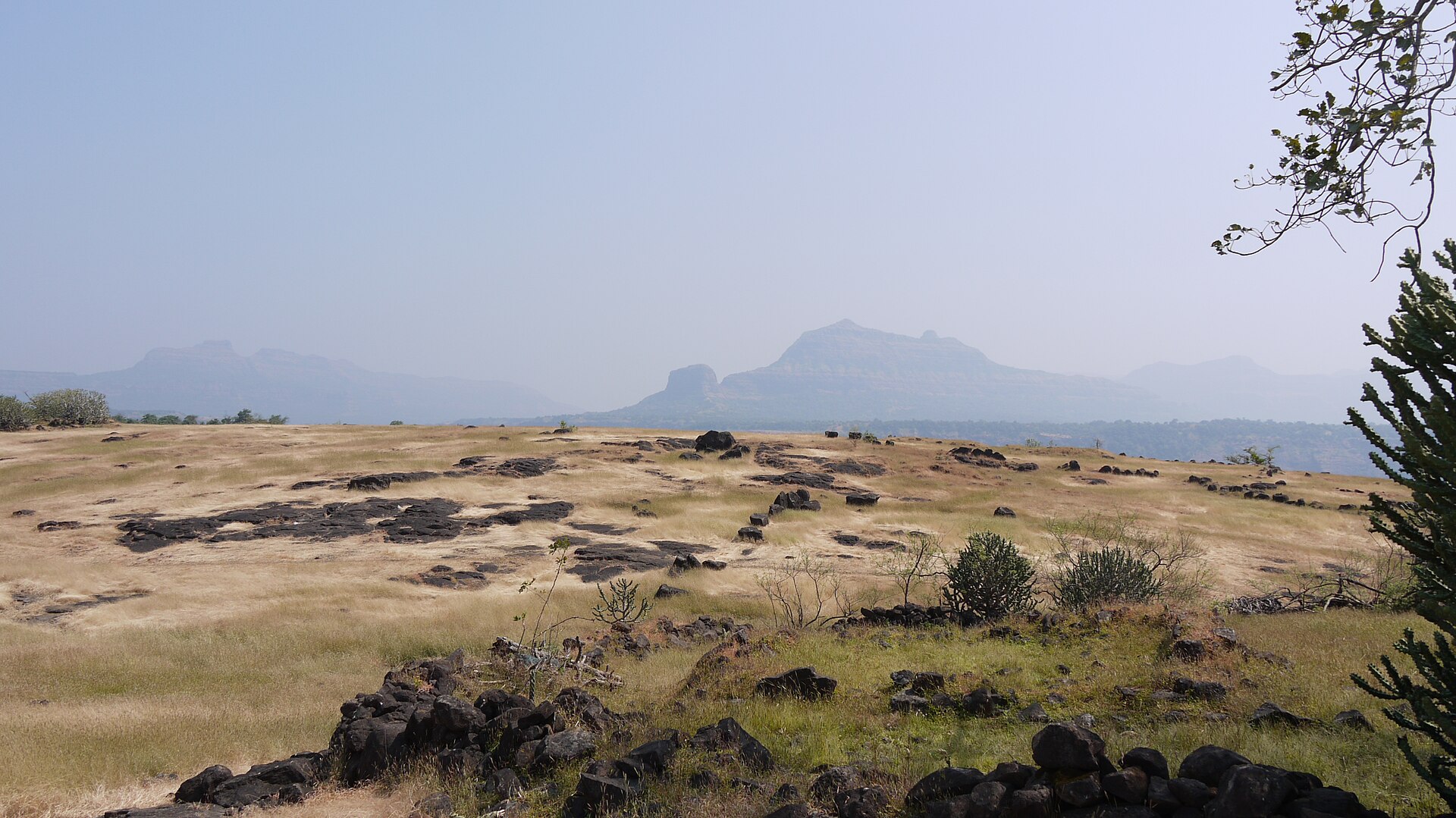 Sudhagad photo 3