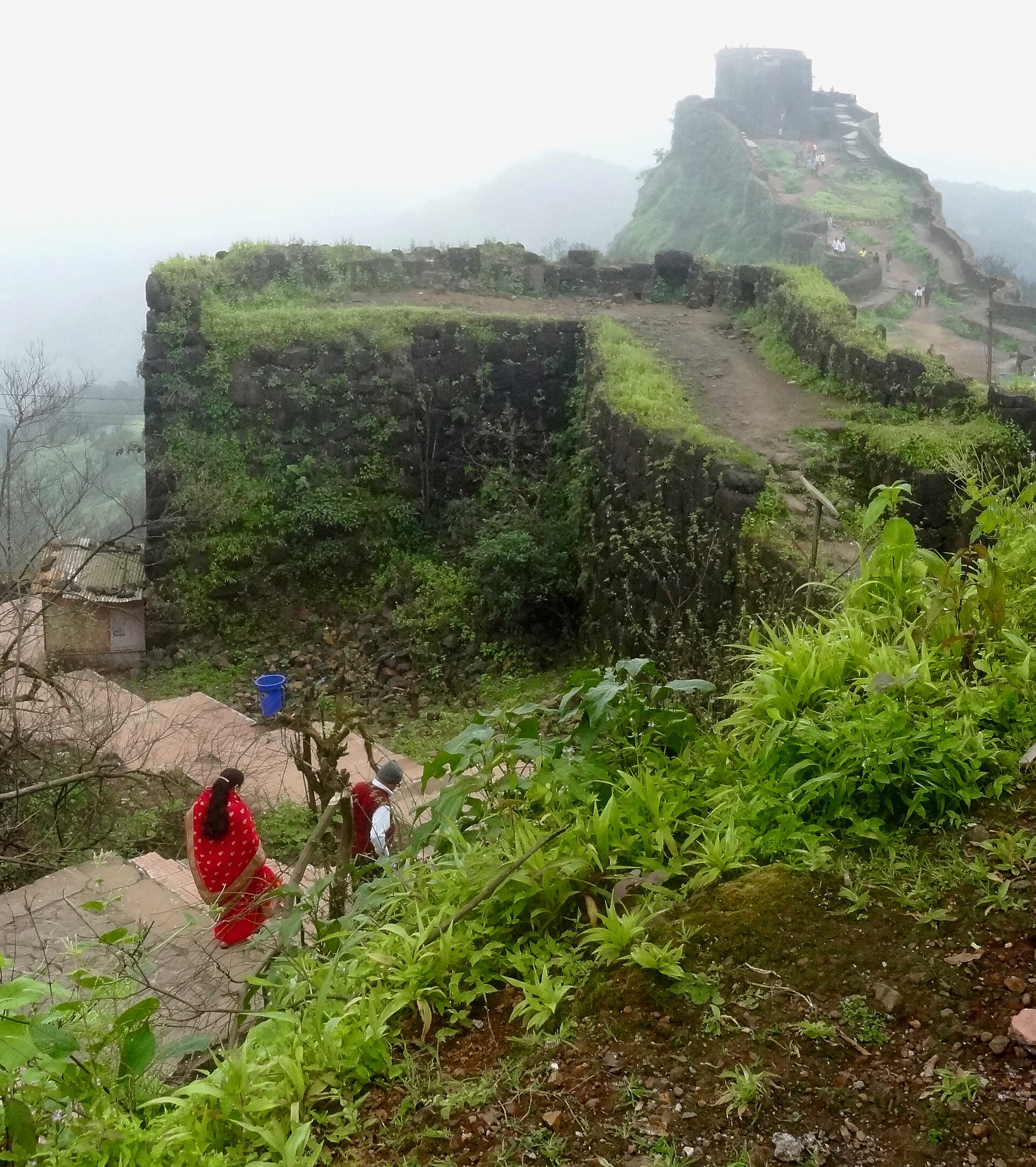 Pratapgad/Bhorpyacha Dogar photo 2
