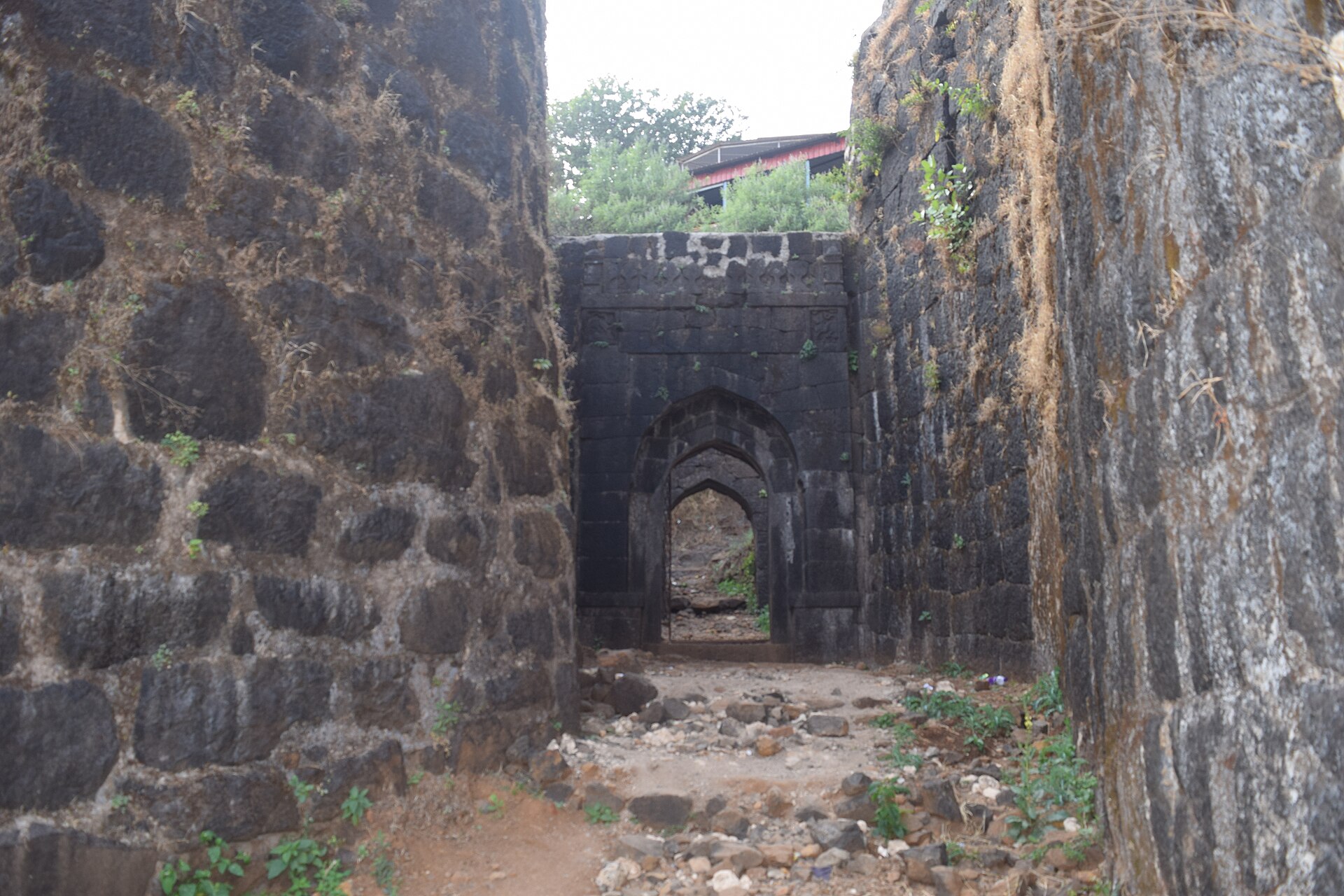 Pratapgad/Bhorpyacha Dogar photo 4