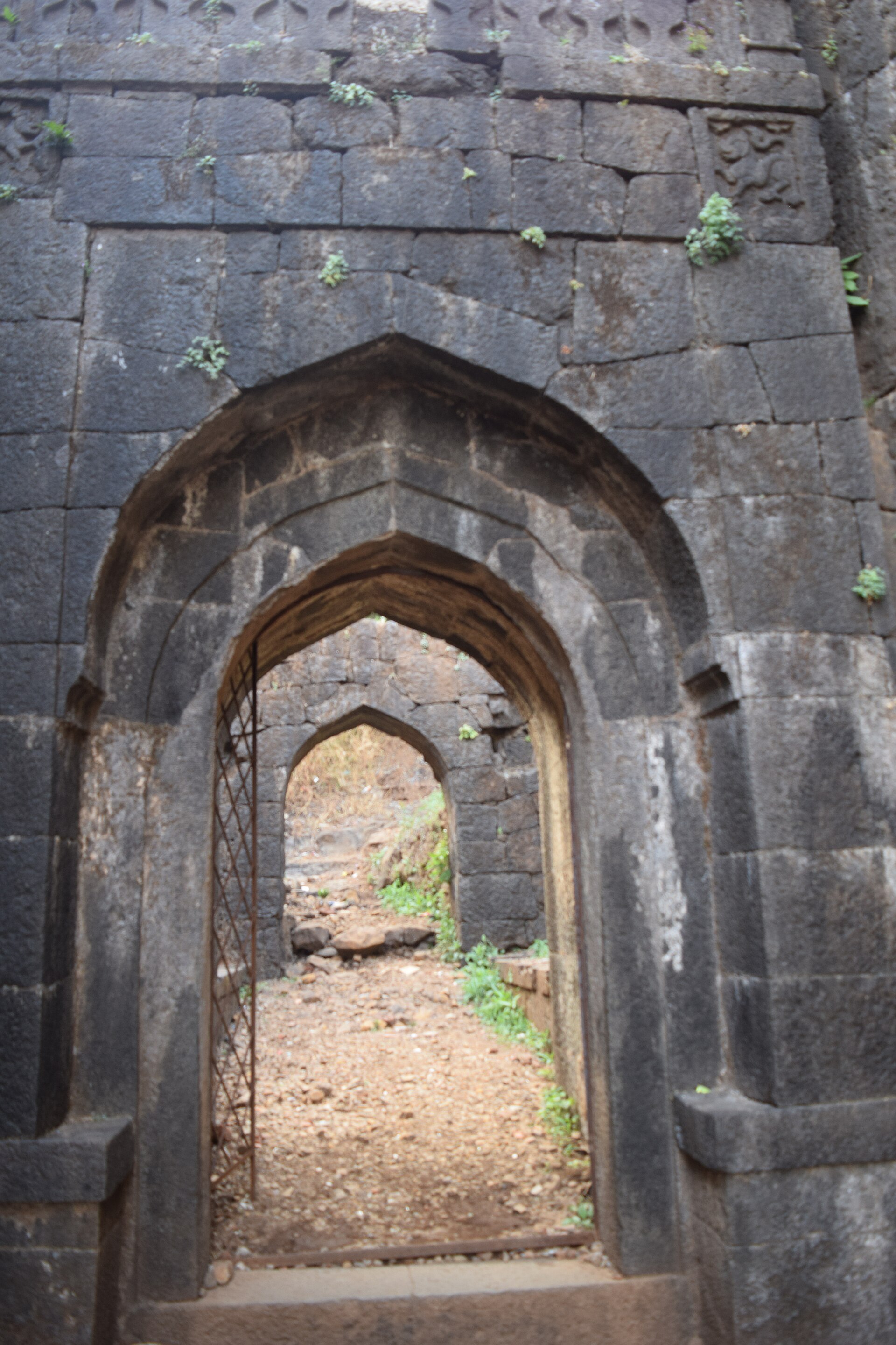 Pratapgad/Bhorpyacha Dogar photo 5