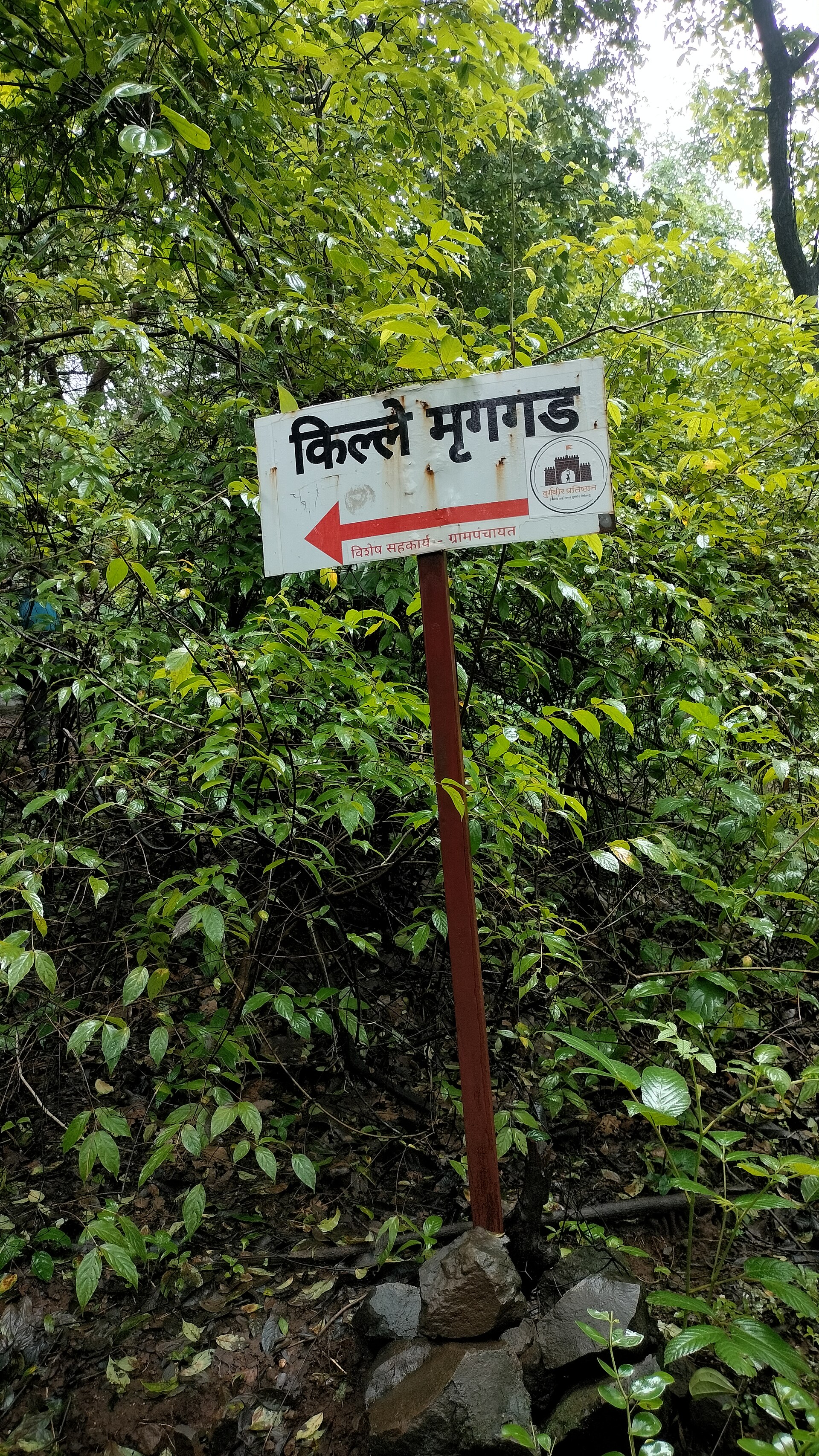 Mrugagad photo 5