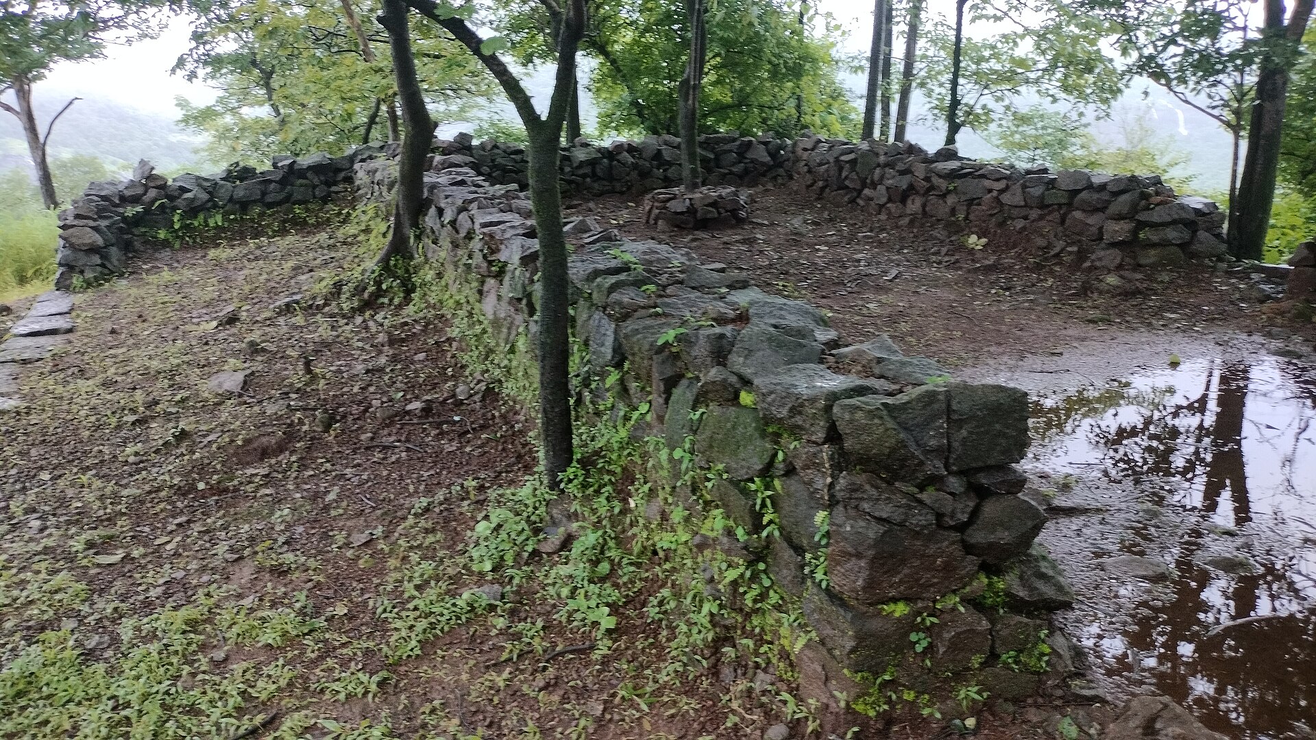 Mrugagad photo 3