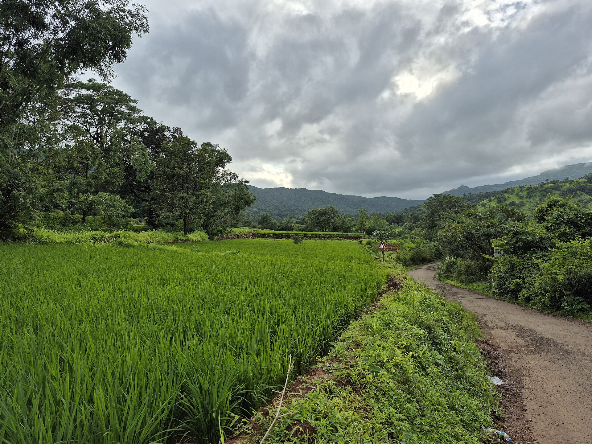 Rajgad photo 5