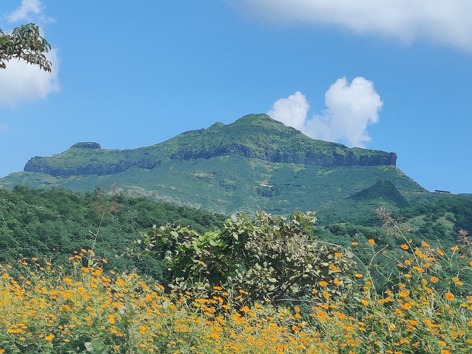 Purandar photo 1